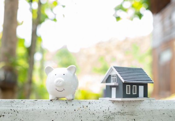 oszczędności na dom lub mieszkanie